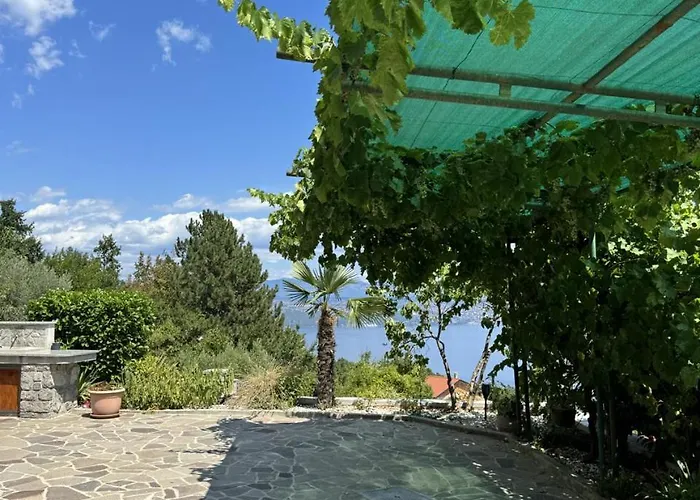 Heart Of Stone Tulisevica